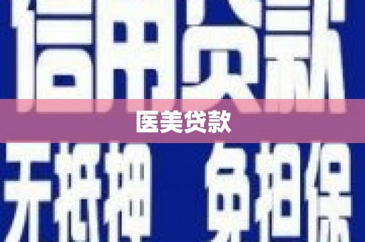 大林医美贷款