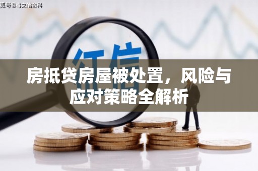 芳苑房抵贷房屋被处置，风险与应对策略全解析
