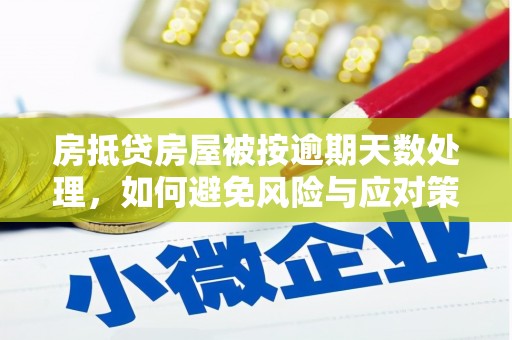滨湖房抵贷房屋被按逾期天数处理，如何避免风险与应对策略