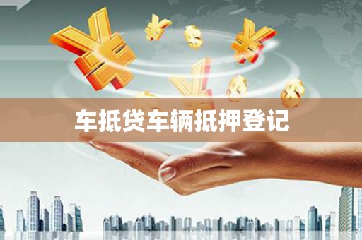 大观车抵贷车辆抵押登记