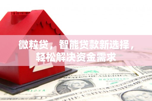 泰武微粒贷，智能贷款新选择，轻松解决资金需求