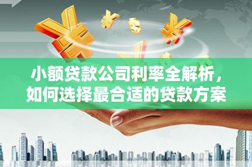 中国台湾小额贷款公司利率全解析，如何选择最合适的贷款方案
