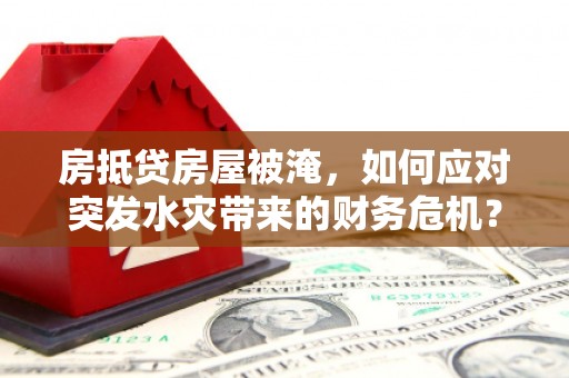 邗江房抵贷房屋被淹，如何应对突发水灾带来的财务危机？