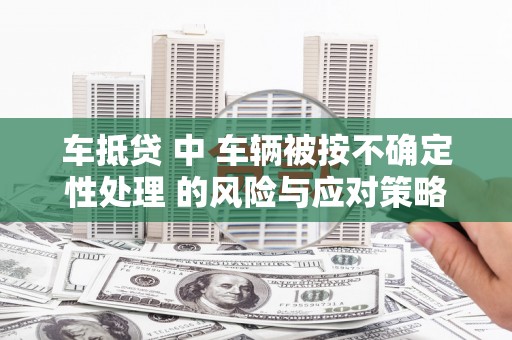 信宜车抵贷 中 车辆被按不确定性处理 的风险与应对策略