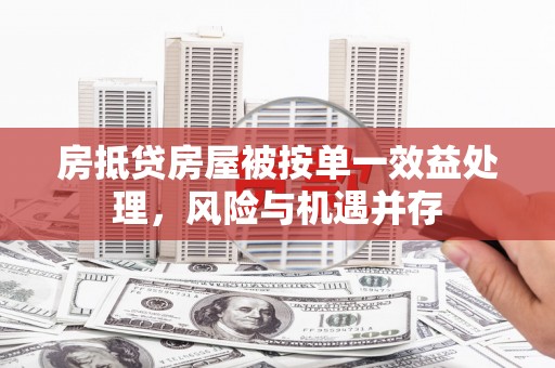 沙依巴克房抵贷房屋被按单一效益处理，风险与机遇并存