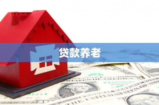 景谷贷款养老