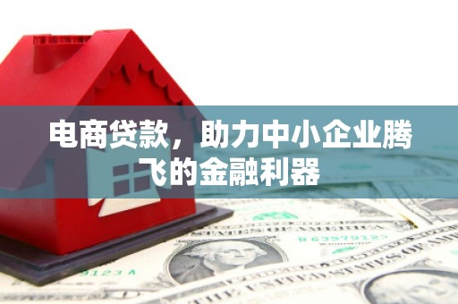 苏尼特右旗电商贷款，助力中小企业腾飞的金融利器