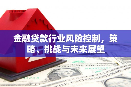 九原金融贷款行业风险控制，策略、挑战与未来展望