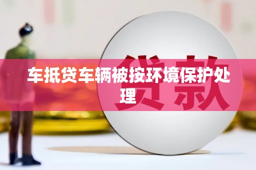 潘集车抵贷车辆被按环境保护处理