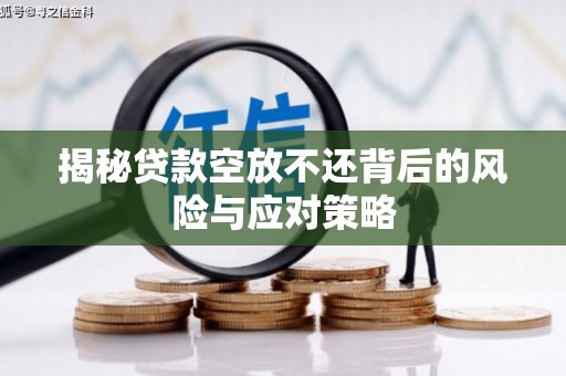 吕梁揭秘贷款空放不还背后的风险与应对策略