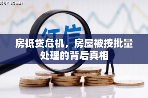 商水房抵贷危机，房屋被按批量处理的背后真相