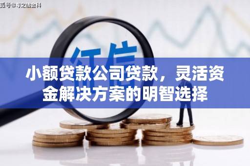 喀什小额贷款公司贷款，灵活资金解决方案的明智选择