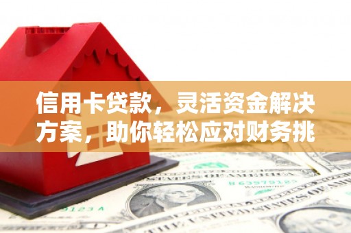 盐水信用卡贷款，灵活资金解决方案，助你轻松应对财务挑战