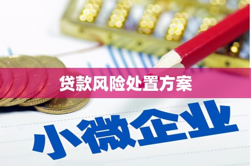 徐水贷款风险处置方案