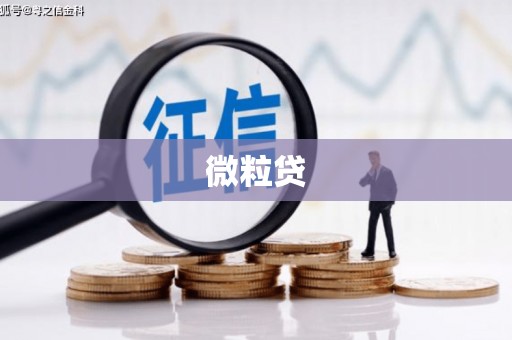 梨树微粒贷