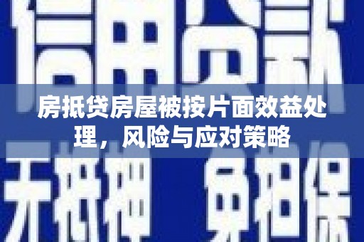 拜城房抵贷房屋被按片面效益处理，风险与应对策略