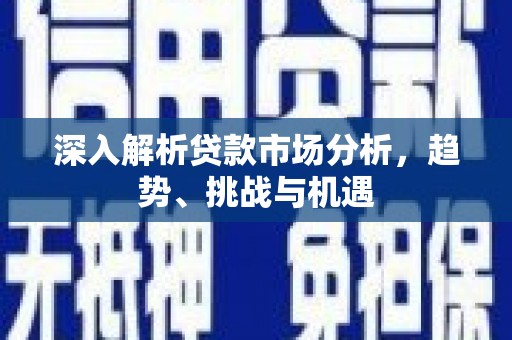 共和深入解析贷款市场分析，趋势、挑战与机遇