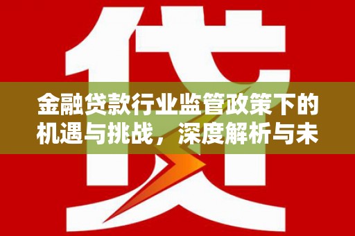 寮步金融贷款行业监管政策下的机遇与挑战，深度解析与未来展望