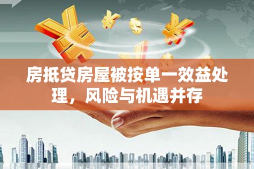 共和房抵贷房屋被按单一效益处理，风险与机遇并存
