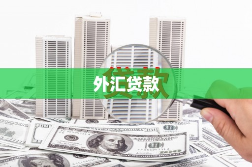 花山外汇贷款