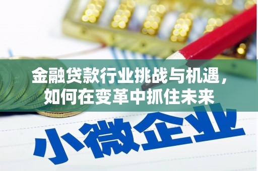 岑巩金融贷款行业挑战与机遇，如何在变革中抓住未来