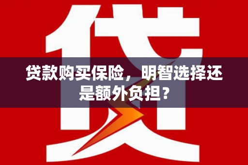 南阳贷款购买保险，明智选择还是额外负担？