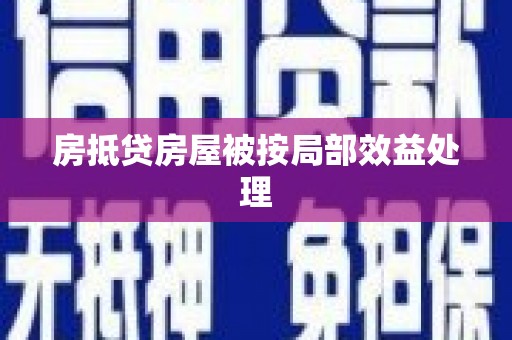 南阳房抵贷房屋被按局部效益处理