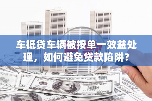 南阳车抵贷车辆被按单一效益处理，如何避免贷款陷阱？