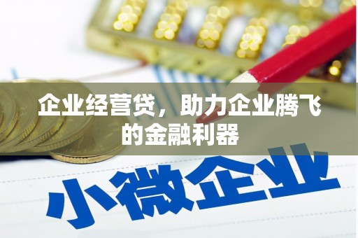 双阳企业经营贷，助力企业腾飞的金融利器