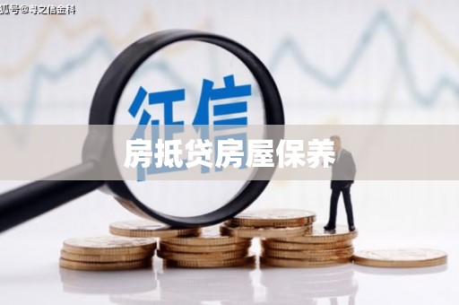 镇平房抵贷房屋保养