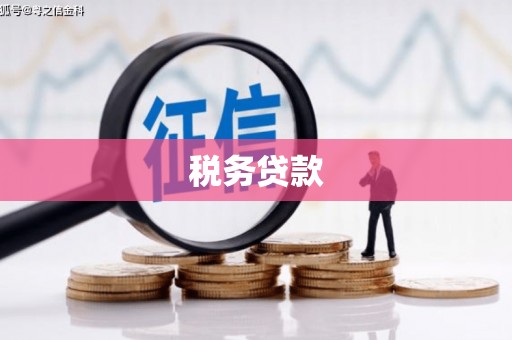 夏津税务贷款