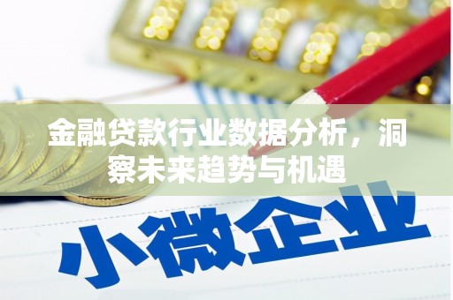 佳县金融贷款行业数据分析，洞察未来趋势与机遇
