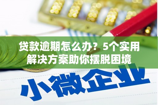 阜南贷款逾期怎么办？5个实用解决方案助你摆脱困境