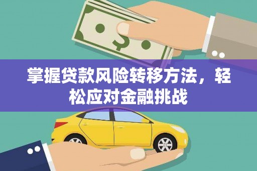 汉南掌握贷款风险转移方法，轻松应对金融挑战