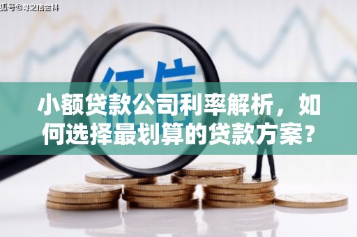 游仙小额贷款公司利率解析，如何选择最划算的贷款方案？