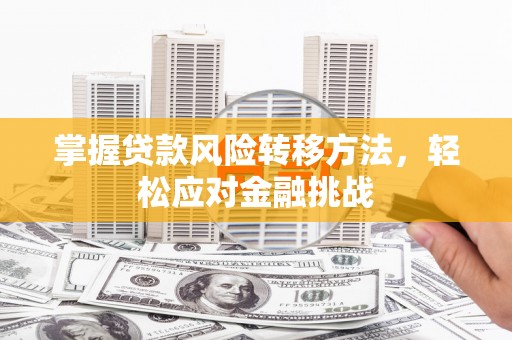 黔南掌握贷款风险转移方法，轻松应对金融挑战