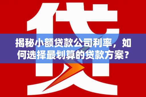 龙川揭秘小额贷款公司利率，如何选择最划算的贷款方案？