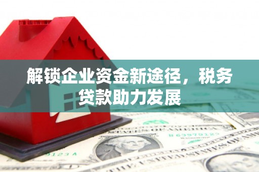 桦南解锁企业资金新途径，税务贷款助力发展
