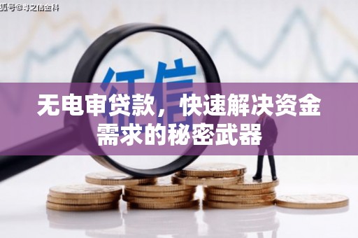 泰山无电审贷款，快速解决资金需求的秘密武器