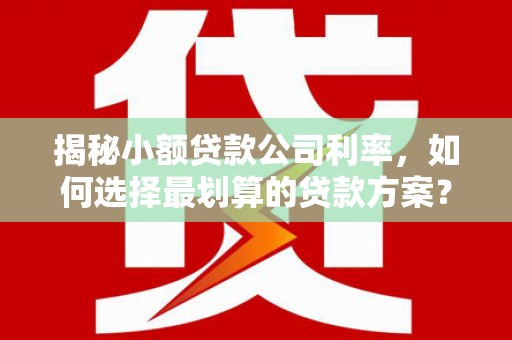 社旗揭秘小额贷款公司利率，如何选择最划算的贷款方案？