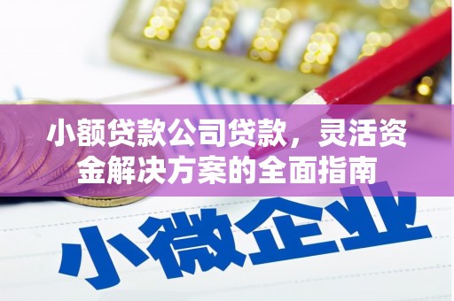 枋寮小额贷款公司贷款，灵活资金解决方案的全面指南