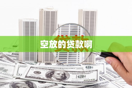定南空放的贷款啊
