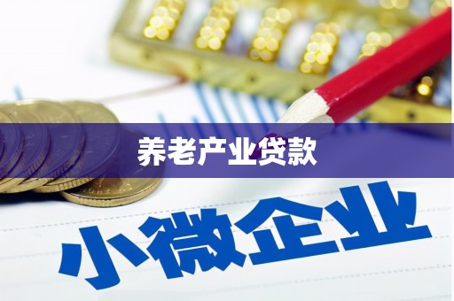 定南养老产业贷款
