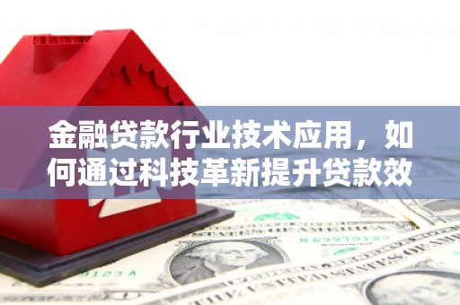 汤原金融贷款行业技术应用，如何通过科技革新提升贷款效率