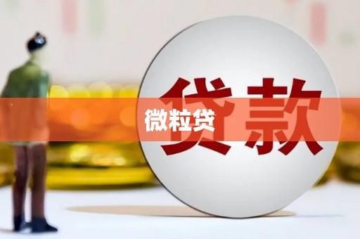 汤原微粒贷