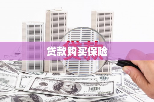 坦洲贷款购买保险