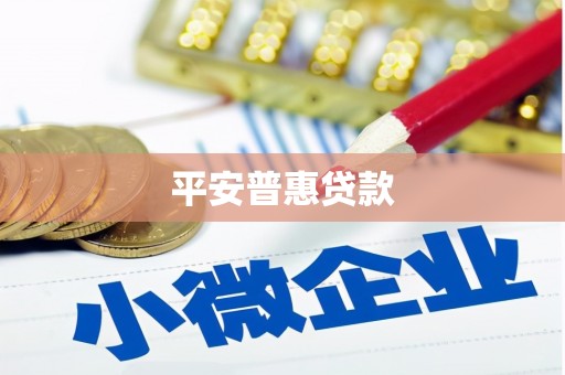 普定平安普惠贷款