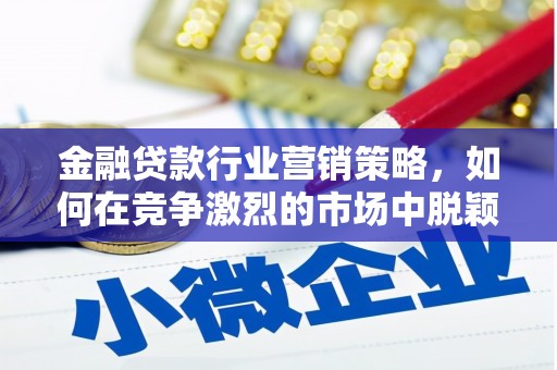 田寮金融贷款行业营销策略，如何在竞争激烈的市场中脱颖而出？