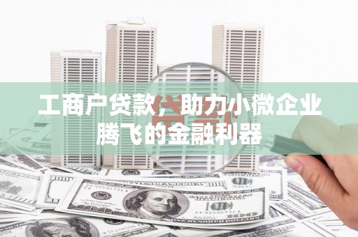 嘉鱼工商户贷款，助力小微企业腾飞的金融利器