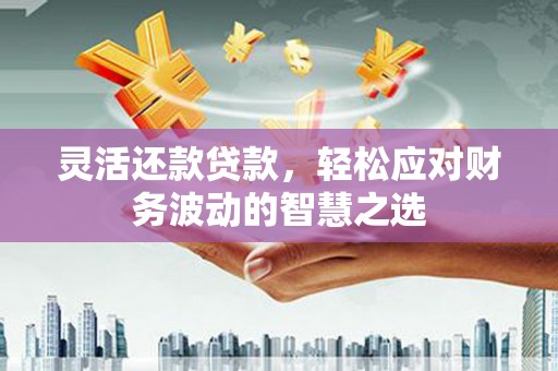 定兴灵活还款贷款，轻松应对财务波动的智慧之选